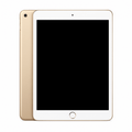 Apple iPad Pro 9.7