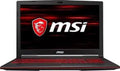 MSI GL63 8RDS 15.5