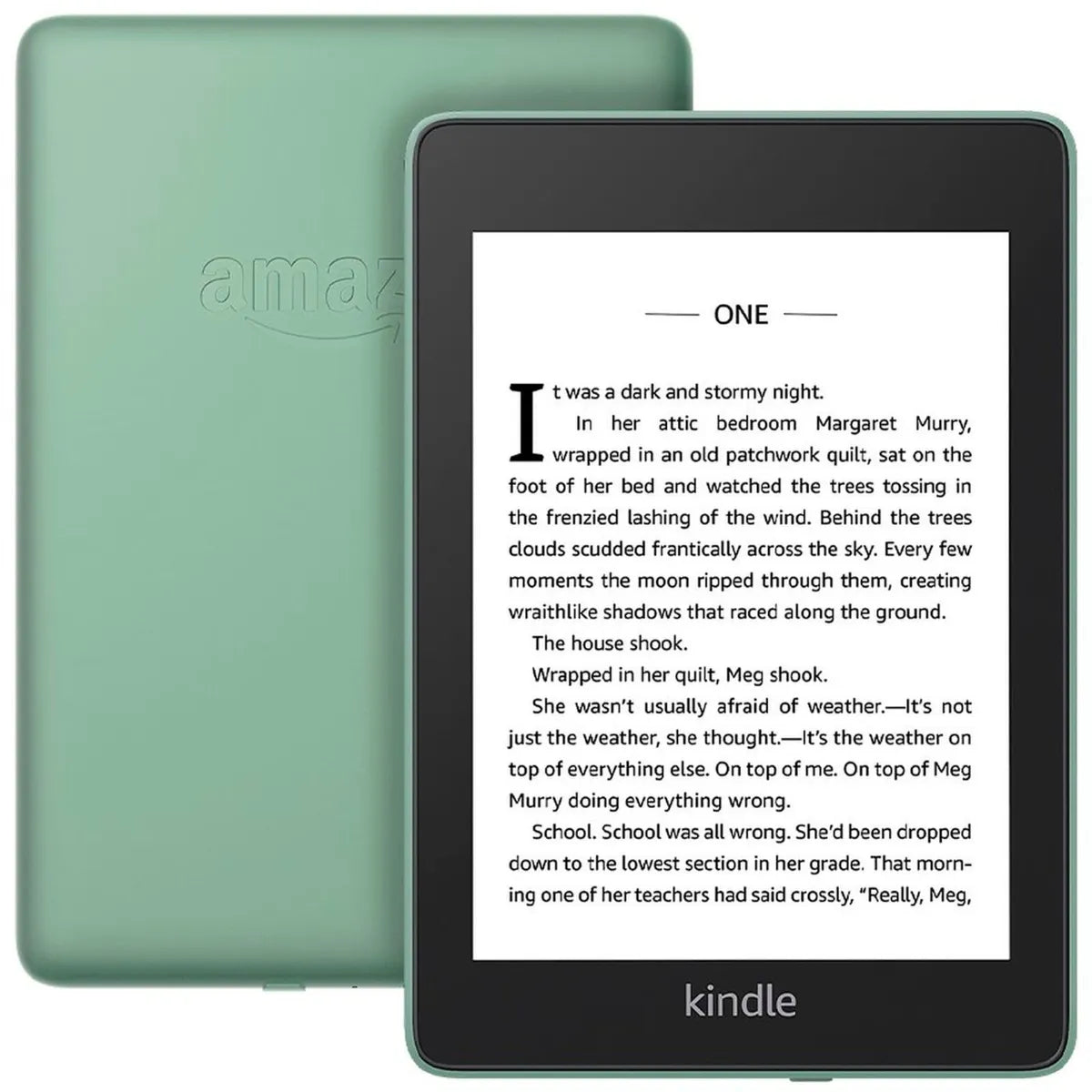Amazon Kindle Paperwhite 4 (10th Generation) WiFi - Good Condition